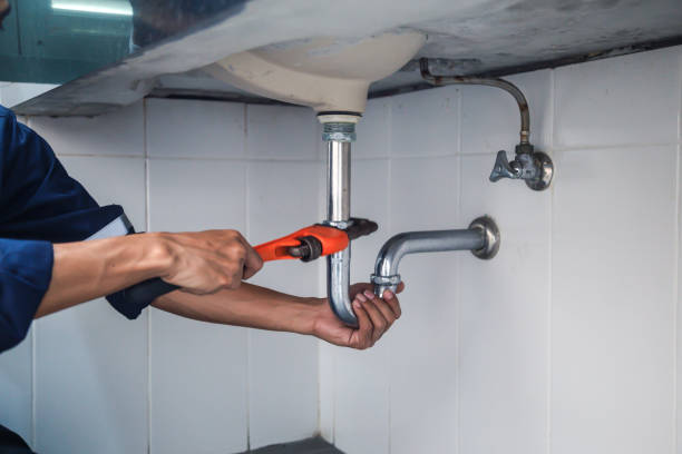 Best Same-Day Plumbing Service  in Lacoochee, FL