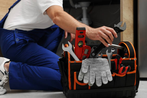Best Residential Plumbing Services  in Lacoochee, FL