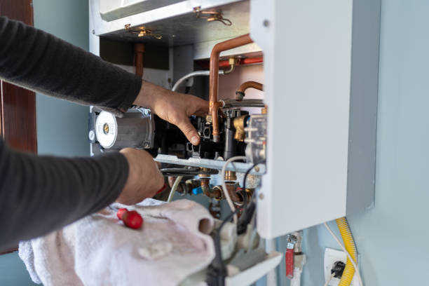 Best Hot Water Heater Installation  in Lacoochee, FL